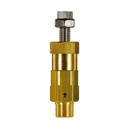 Afbeeldingen van Drukventiel RM-250 24-240-60°