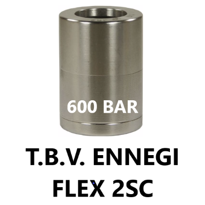 Afbeeldingen van Pershuls RVS 2SC-10 600 BAR